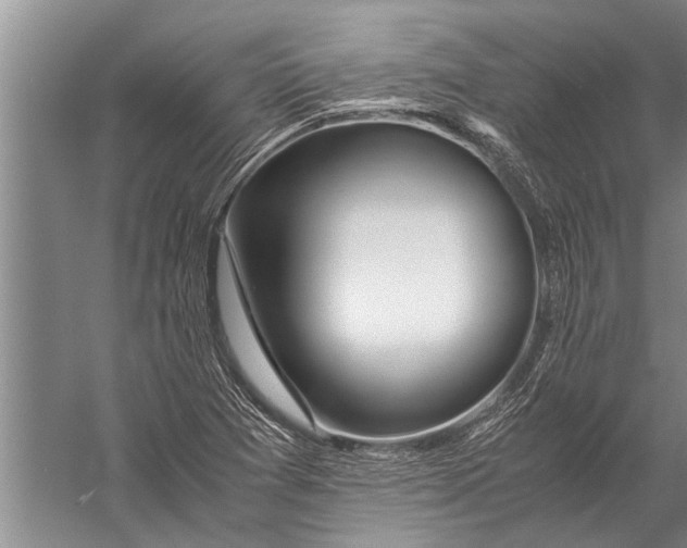 X0000057061361200510010056