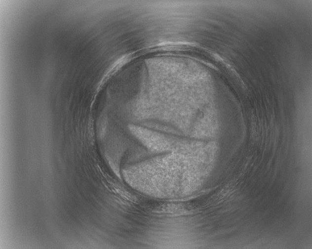 X0000057061362200510010056