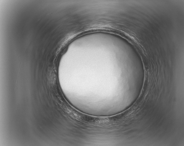 X0000057061363200510010056