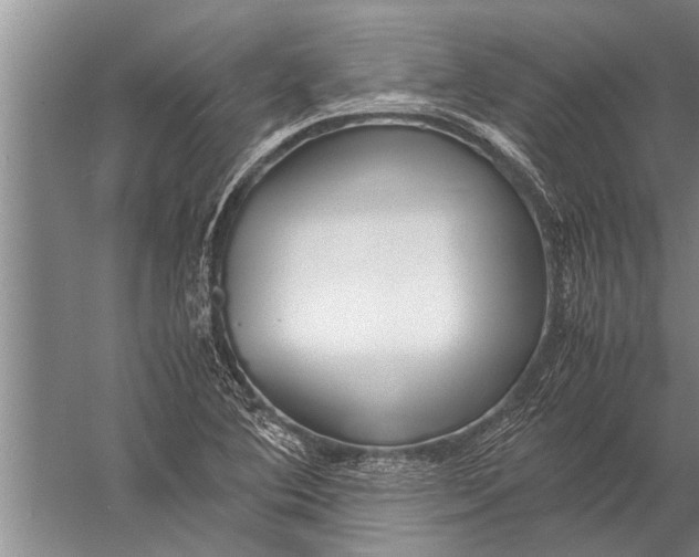 X0000057061364200510010056