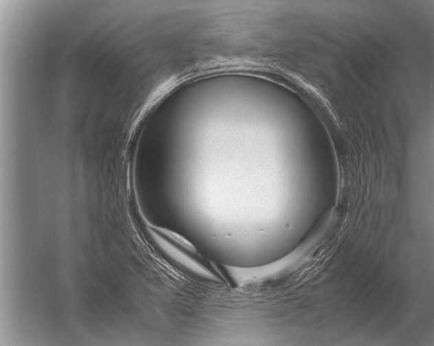 X0000057061365200510010056