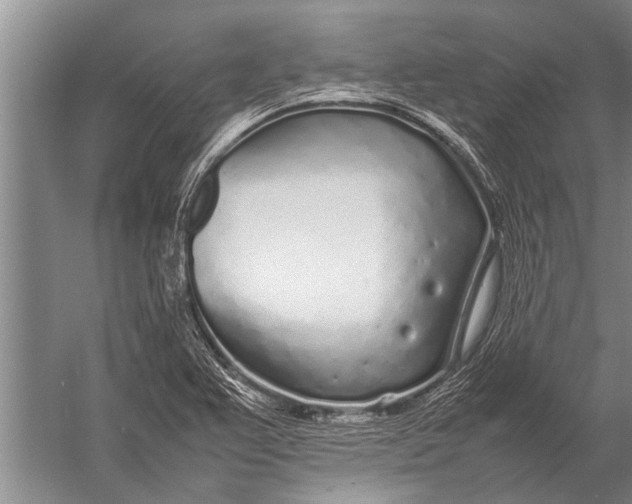 X0000057061367200510010056