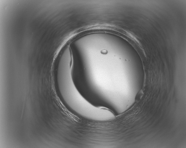 X0000057061368200510010056