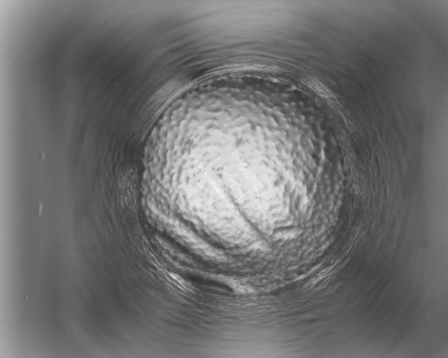 X0000057061369200510010056