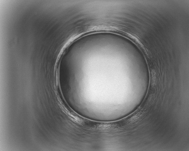 X0000057061371200510010056