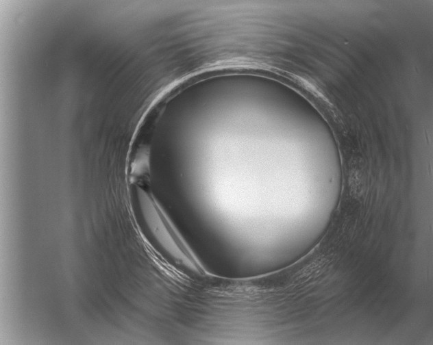 X0000057061372200510010056