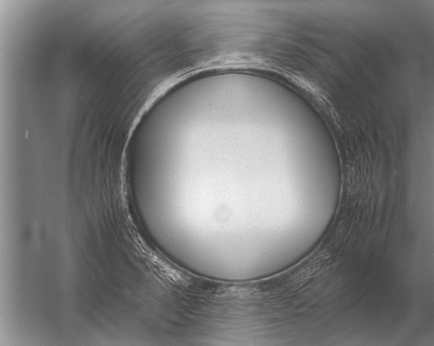 X0000057061374200510010056