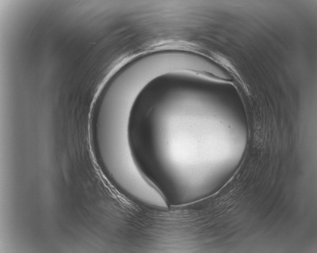 X0000057061376200510010056