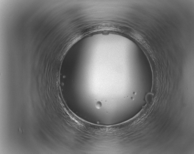 X0000057061377200510010056