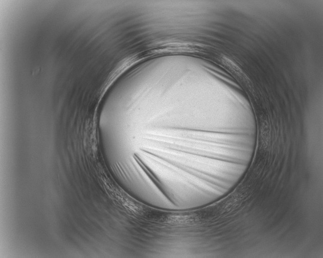 X0000057061378200510010056