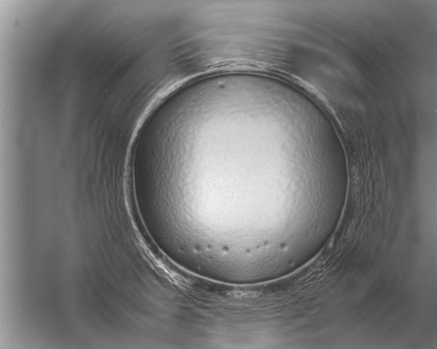 X0000057061379200510010056