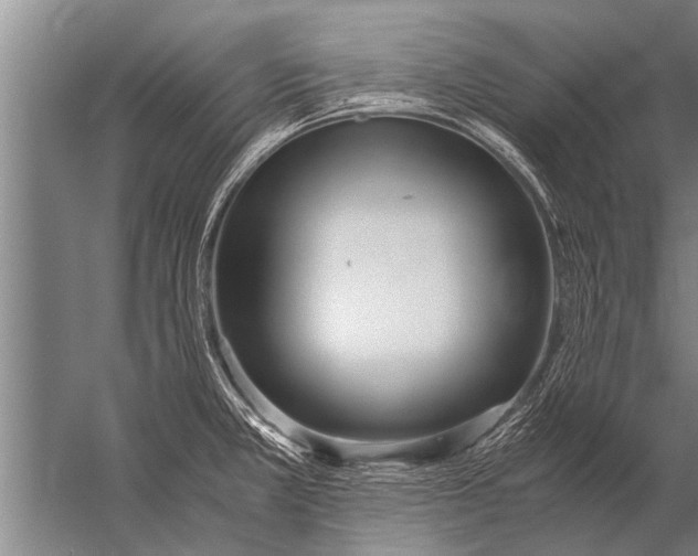 X0000057061381200510010056