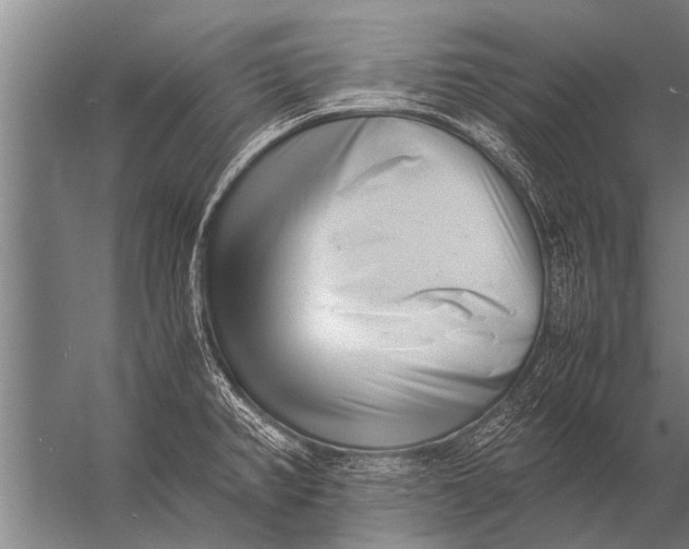 X0000057061382200510010056