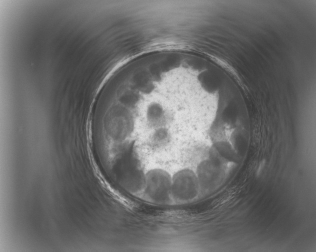 X0000057061383200510010056