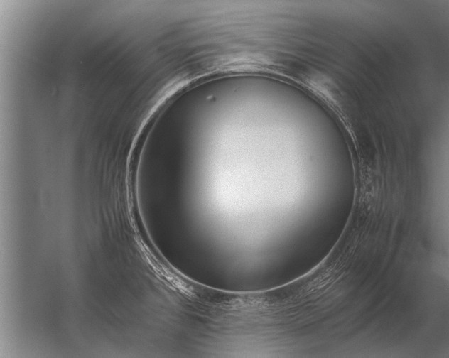 X0000057061384200510010056