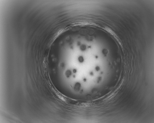 X0000057061385200510010056