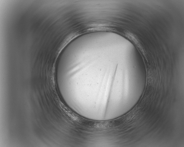 X0000057061386200510010056