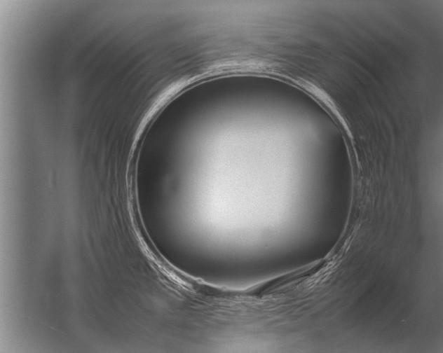 X0000057061389200510010056