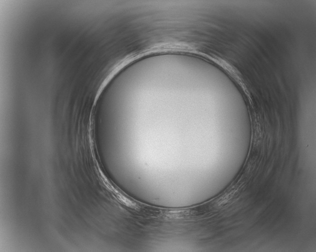 X0000057061390200510010056