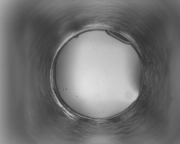 X0000057061391200510010056