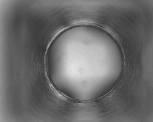 X0000057061392200510010056