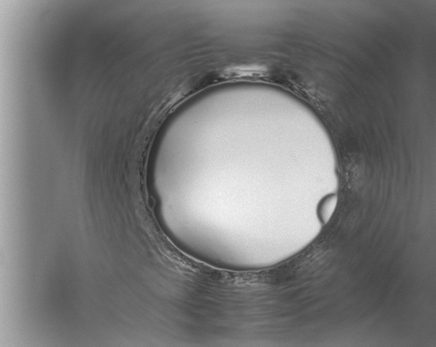 X0000057061393200510010055