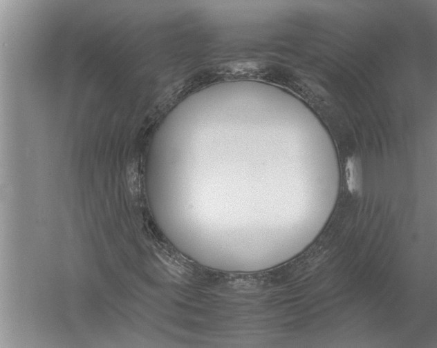 X0000057061395200510010055