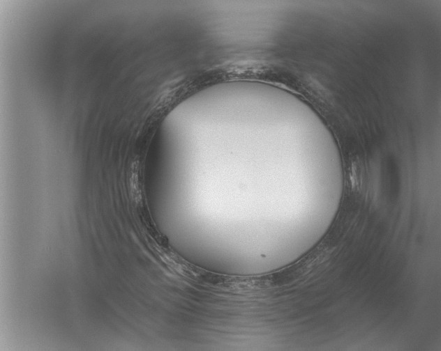 X0000057061396200510010055