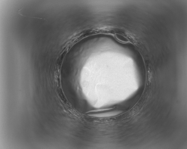 X0000057061397200510010055