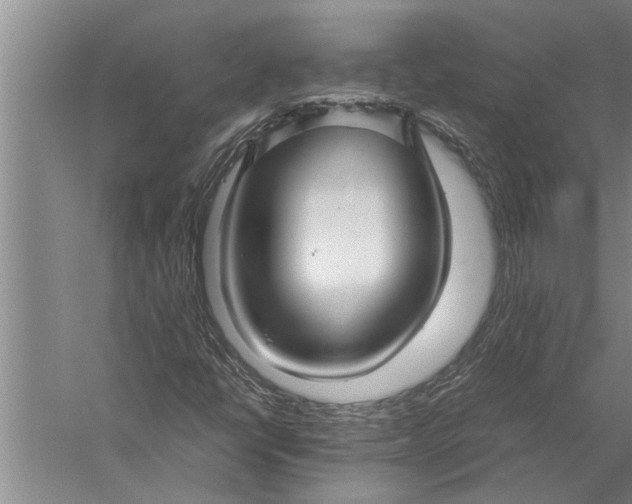 X0000057061398200510010055