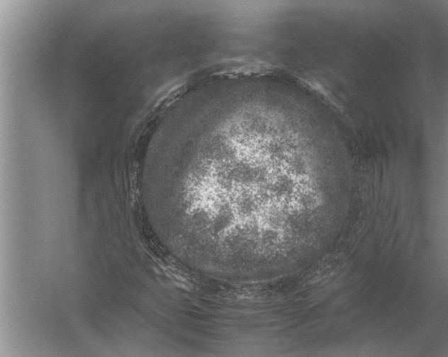 X0000057061399200510010055