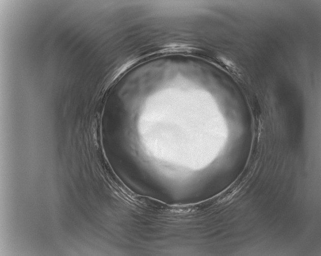 X0000057061401200510010055