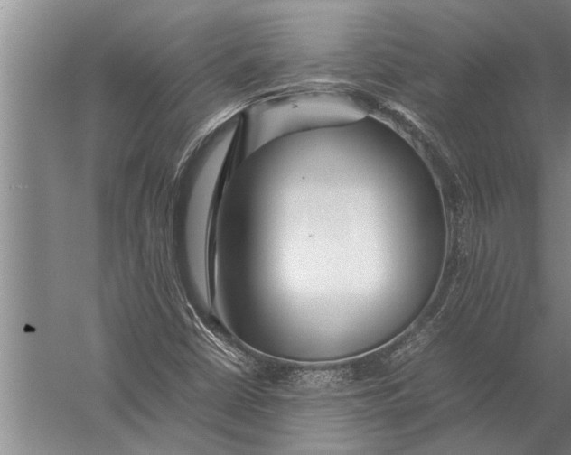 X0000057061402200510010055