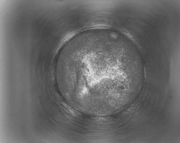 X0000057061405200510010055