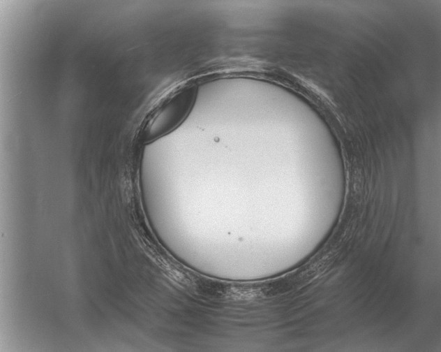 X0000057061407200510010055