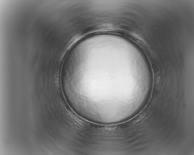 X0000057061409200510010055