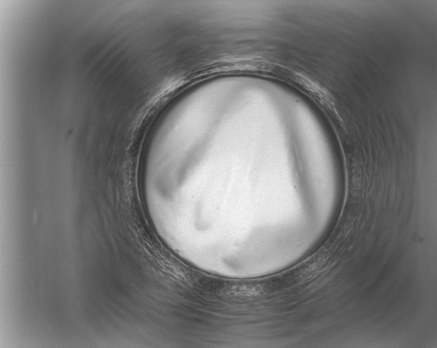 X0000057061411200510010055