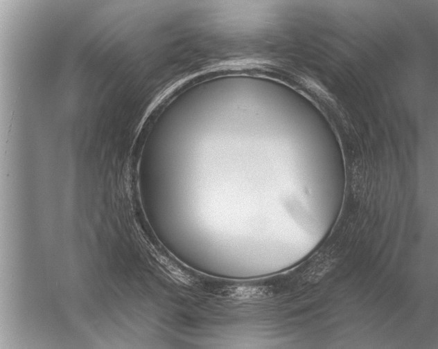 X0000057061412200510010055