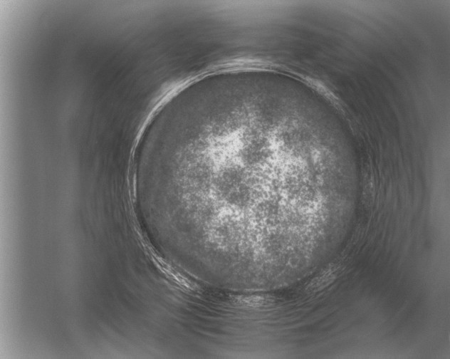 X0000057061413200510010055