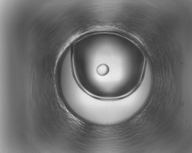 X0000057061414200510010055