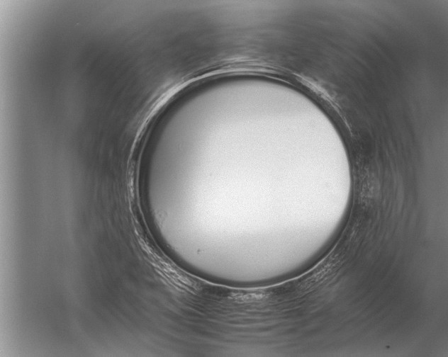 X0000057061415200510010055