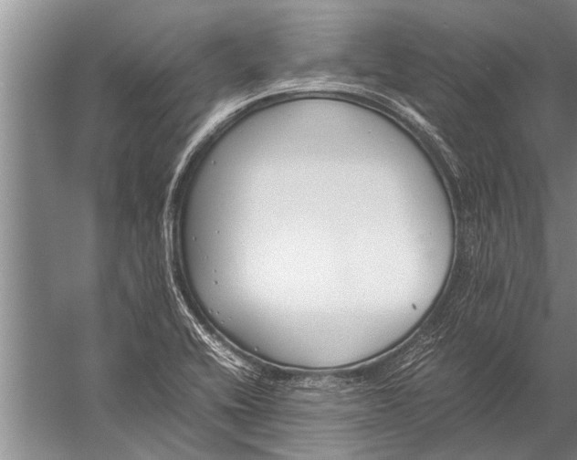 X0000057061416200510010055