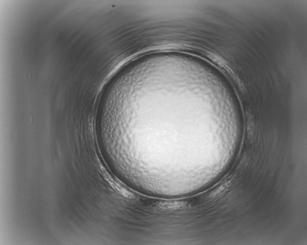 X0000057061417200510010055