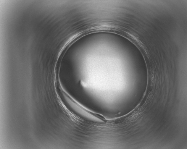 X0000057061418200510010055