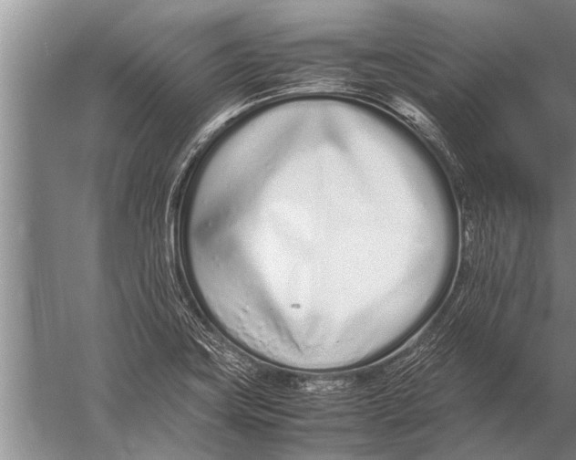 X0000057061419200510010055