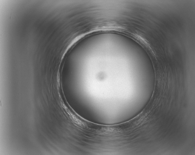 X0000057061420200510010055