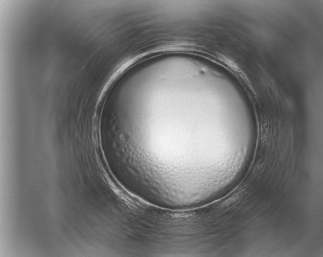 X0000057061421200510010055