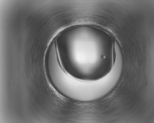 X0000057061422200510010055