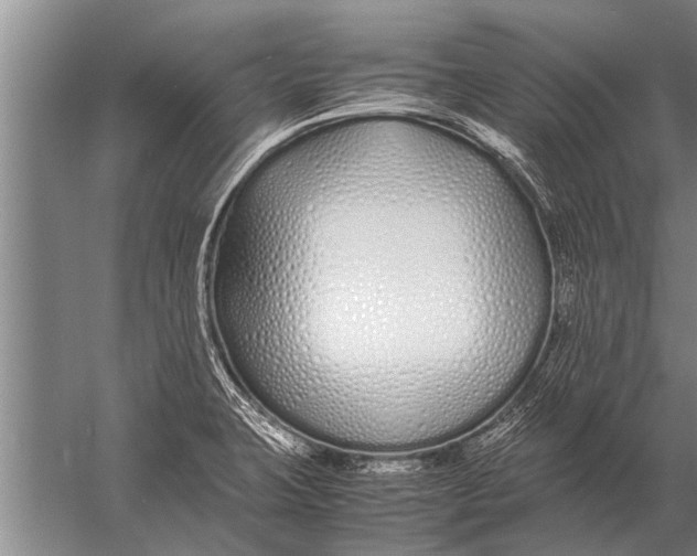 X0000057061423200510010055