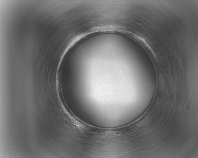 X0000057061424200510010055